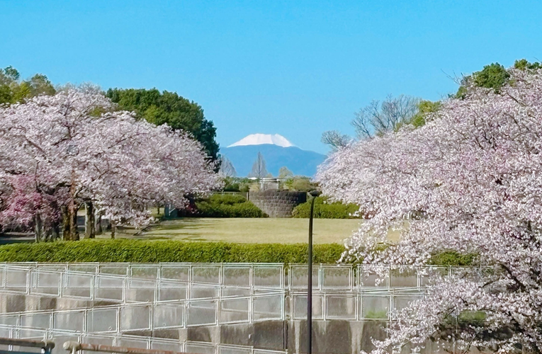 【30年経営して気づいた】「正しさ」より「楽しさ」を。 AI時代に私たちが大切にすべき、たった一つのこと