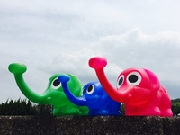 象さんジョーロで節約しましょ！