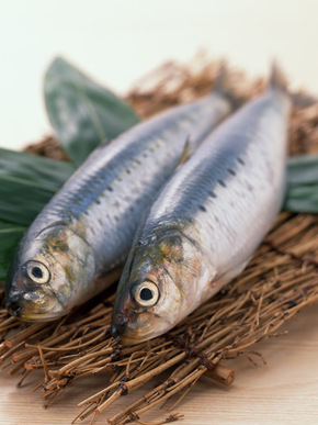 はがすだけでOK。グリルの受け皿の超簡単掃除法