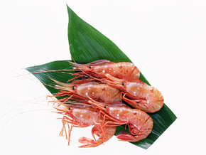 冷凍のえびをプリプリにするには