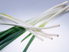 冷凍ワザ・薬味編