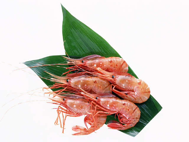 冷凍のえびをプリプリにするには