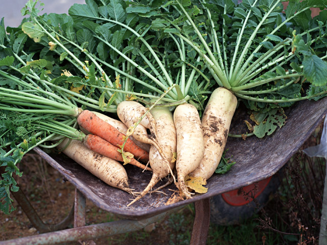 野菜の芯や皮をつくねに