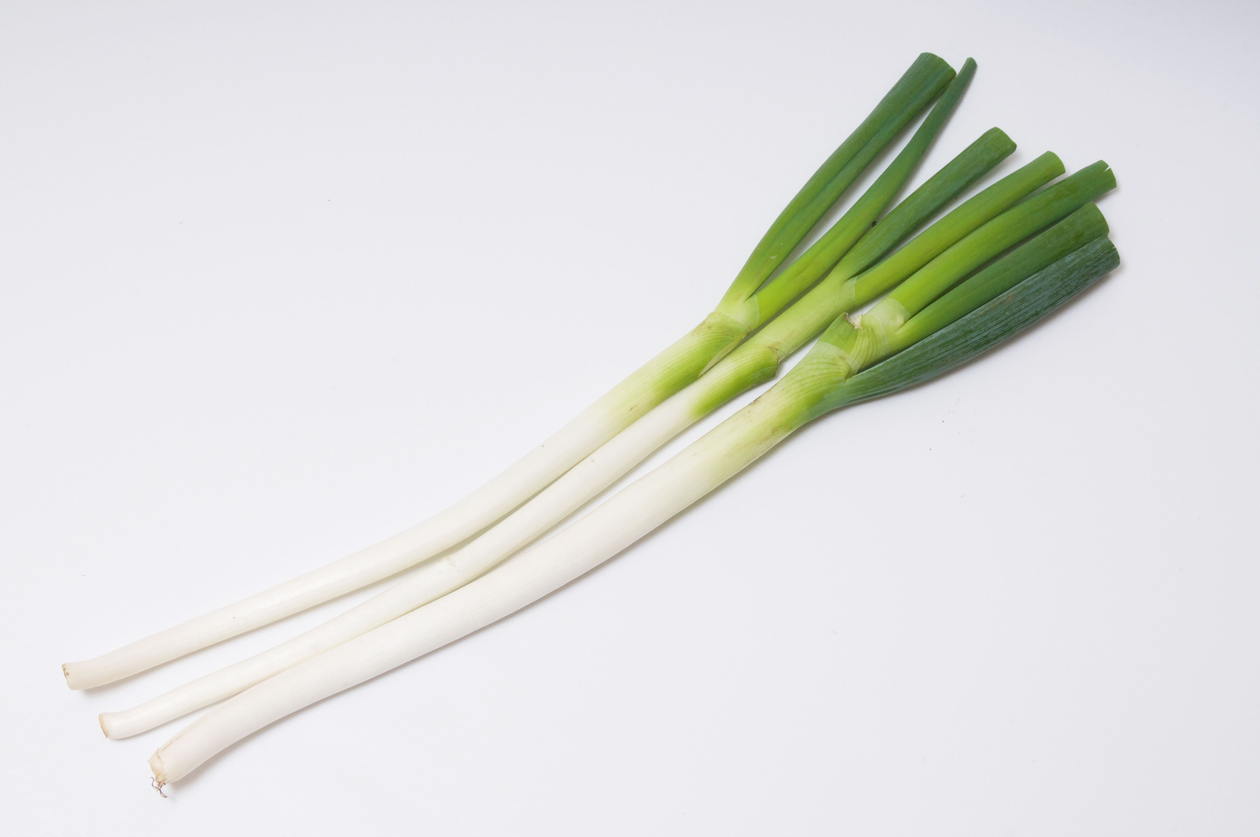 長ねぎの青い部分と根の部分は捨てないで！