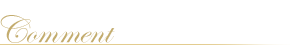 コメント